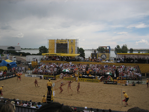 AVP Activation.jpg