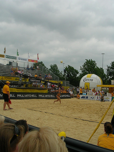 AVP Activation2.jpg