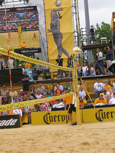 AVP Activation3.jpg