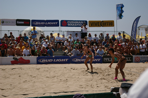 AVP Signage.jpg
