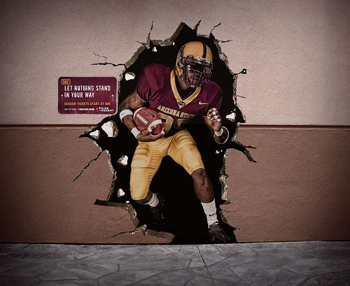 AZ State - Wall Mural Outdoor.jpg