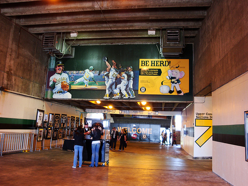 A's - Product Billboard.jpg