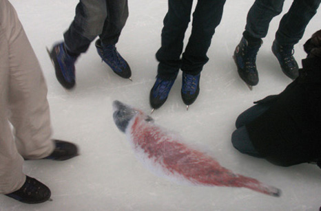 Animal Rights - Hockey2.jpg