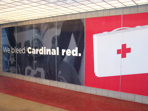 Arizona Cardinals - We Bleed Red.jpg