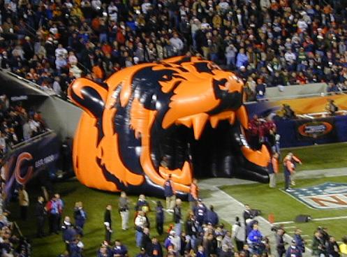 Bears Inflatable.jpg