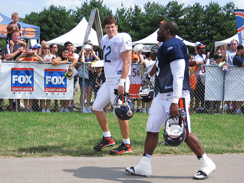 Bears Training Camp - Fence Signage.jpg