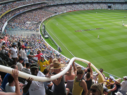 Beer Snakes - Cricket5.jpg
