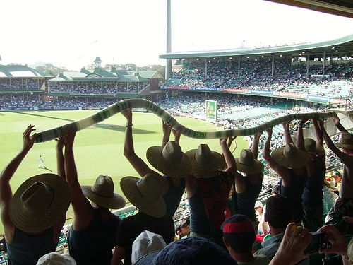 Beer Snakes - Cricket8.jpg