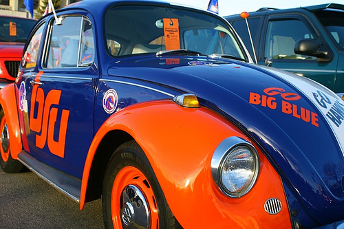 Boise State Bug.jpg
