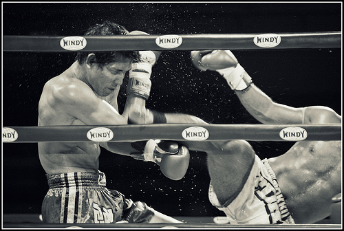 Branded Boxing Ropes.jpg