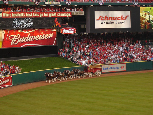 Budweiser Clydsedales - Old Busch Stadium.jpg