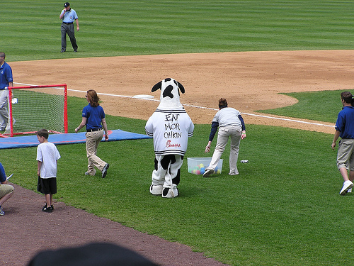 Campbell's Field - Hockey Goal Challenge.jpg