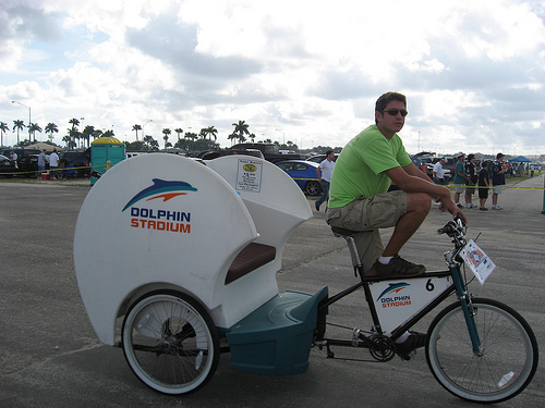 Dolphins - Rickshaw.jpg