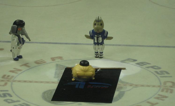 Hockey - Mascots On Ice.jpg