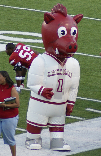 Inflatable Arkansas Razorback.jpg