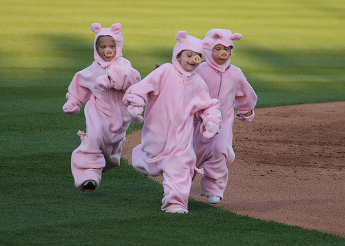 Lehigh Valley Iroon Pig Race Between Innings.jpg