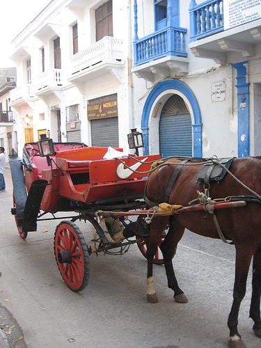 Nike - Horse and Buggy - Bogota, Colombia.jpg