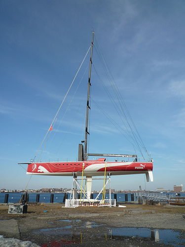 Puma Boat - Shepard Fairey Day.jpg