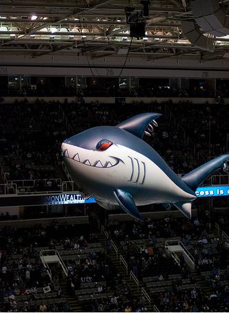 Sharks Inflatable.jpg