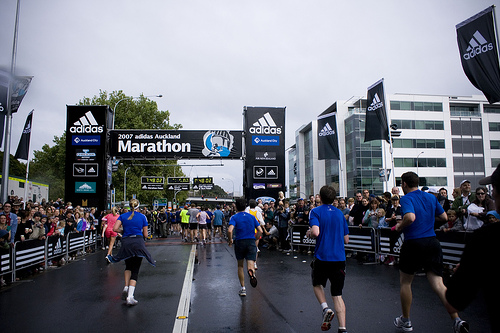 adidas marathon signage.jpg