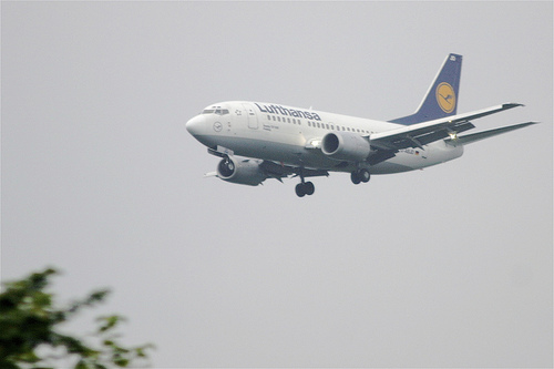 airline.jpg