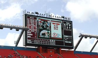 auxiliary display - dolphins.jpg